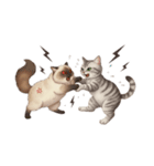 にゃんずたちの日々（個別スタンプ：16）