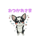 ブラックタン 可愛いうちのチワワ（個別スタンプ：6）