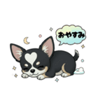 ブラックタン 可愛いうちのチワワ（個別スタンプ：7）