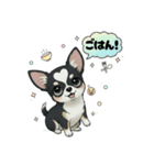 ブラックタン 可愛いうちのチワワ（個別スタンプ：9）