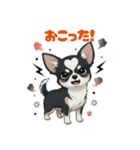 ブラックタン 可愛いうちのチワワ（個別スタンプ：14）