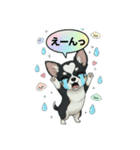 ブラックタン 可愛いうちのチワワ（個別スタンプ：17）
