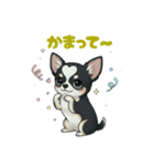 ブラックタン 可愛いうちのチワワ（個別スタンプ：19）