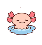 ほわほわウーパールーパー@SFW（個別スタンプ：3）