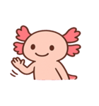 ほわほわウーパールーパー@SFW（個別スタンプ：11）