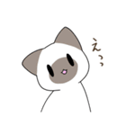 うちねこ！！スタンプ（個別スタンプ：3）