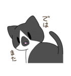 うちねこ！！スタンプ（個別スタンプ：6）