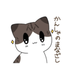 うちねこ！！スタンプ（個別スタンプ：7）