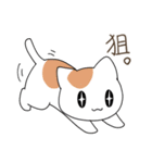うちねこ！！スタンプ（個別スタンプ：14）
