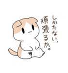 うちねこ！！スタンプ（個別スタンプ：16）