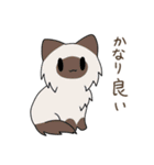 うちねこ！！スタンプ（個別スタンプ：25）