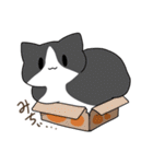 うちねこ！！スタンプ（個別スタンプ：26）