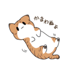 うちねこ！！スタンプ（個別スタンプ：27）