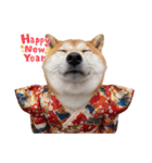 犬達の日常生活 2（個別スタンプ：1）