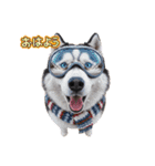 犬達の日常生活 2（個別スタンプ：6）