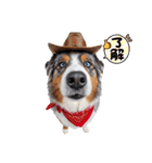 犬達の日常生活 2（個別スタンプ：14）