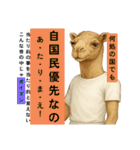 ラクダaiスタンプ（個別スタンプ：4）