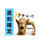 ラクダaiスタンプ（個別スタンプ：11）