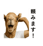 ラクダaiスタンプ（個別スタンプ：12）
