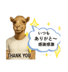 ラクダaiスタンプ（個別スタンプ：30）