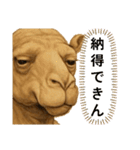 ラクダaiスタンプ（個別スタンプ：32）