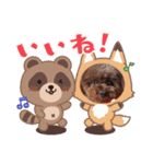 トイプードルのココアちゃん3（個別スタンプ：3）