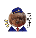 トイプードルのココアちゃん3（個別スタンプ：4）