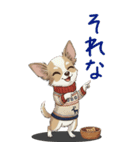 チワワちゃん達の日常会話♥BIGスタンプ♪（個別スタンプ：5）