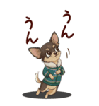 チワワちゃん達の日常会話♥BIGスタンプ♪（個別スタンプ：9）