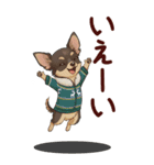 チワワちゃん達の日常会話♥BIGスタンプ♪（個別スタンプ：22）