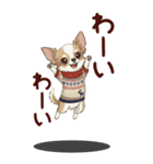 チワワちゃん達の日常会話♥BIGスタンプ♪（個別スタンプ：23）