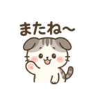 垂れ耳ねこのやさしい毎日【癒しスタンプ】（個別スタンプ：16）
