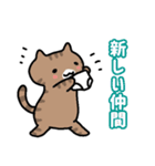 パンツと猫3（個別スタンプ：4）