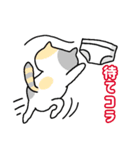 パンツと猫3（個別スタンプ：9）