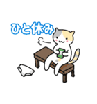 パンツと猫3（個別スタンプ：11）