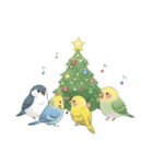 冬のほっこりインコのクリスマススタンプ（個別スタンプ：5）