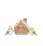冬のほっこりインコのクリスマススタンプ（個別スタンプ：8）