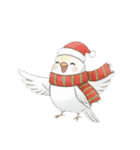 冬のほっこりインコのクリスマススタンプ（個別スタンプ：12）