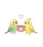 冬のほっこりインコのクリスマススタンプ（個別スタンプ：13）