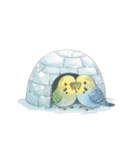 冬のほっこりインコのクリスマススタンプ（個別スタンプ：19）