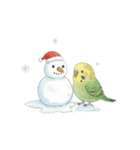 冬のほっこりインコのクリスマススタンプ（個別スタンプ：20）