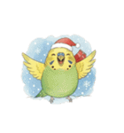 冬のほっこりインコのクリスマススタンプ（個別スタンプ：21）