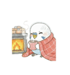 冬のほっこりインコのクリスマススタンプ（個別スタンプ：23）