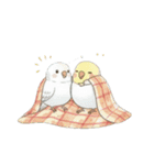冬のほっこりインコのクリスマススタンプ（個別スタンプ：27）