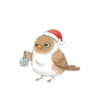 冬のほっこりインコのクリスマススタンプ（個別スタンプ：30）