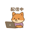 『いっしょに過ごそ』配信 撮影 SNS（個別スタンプ：21）