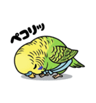 力士ちゃんのスタンプ5（個別スタンプ：21）