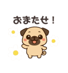 パクっとパグちゃん（個別スタンプ：1）