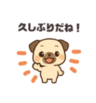 パクっとパグちゃん（個別スタンプ：6）
