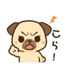 パクっとパグちゃん（個別スタンプ：9）
